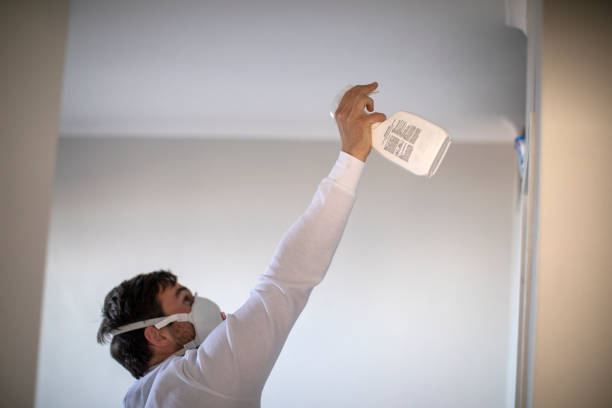 Best Black Mold Removal  in Mitchell, NE
