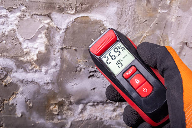 Best Best Mold Removal Companies  in Mitchell, NE