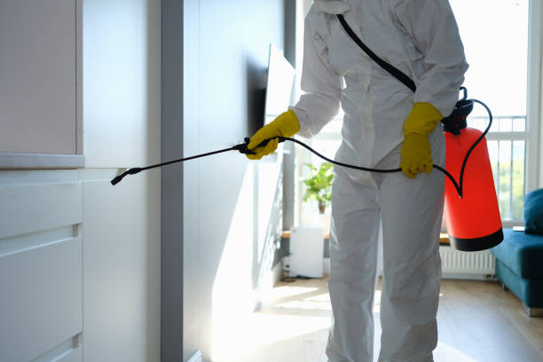 Best Mold Remediation  in Mitchell, NE